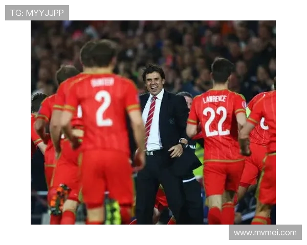 波黑官方:附加赛对意门票售罄 波黑官方:附加赛对意门票售罄